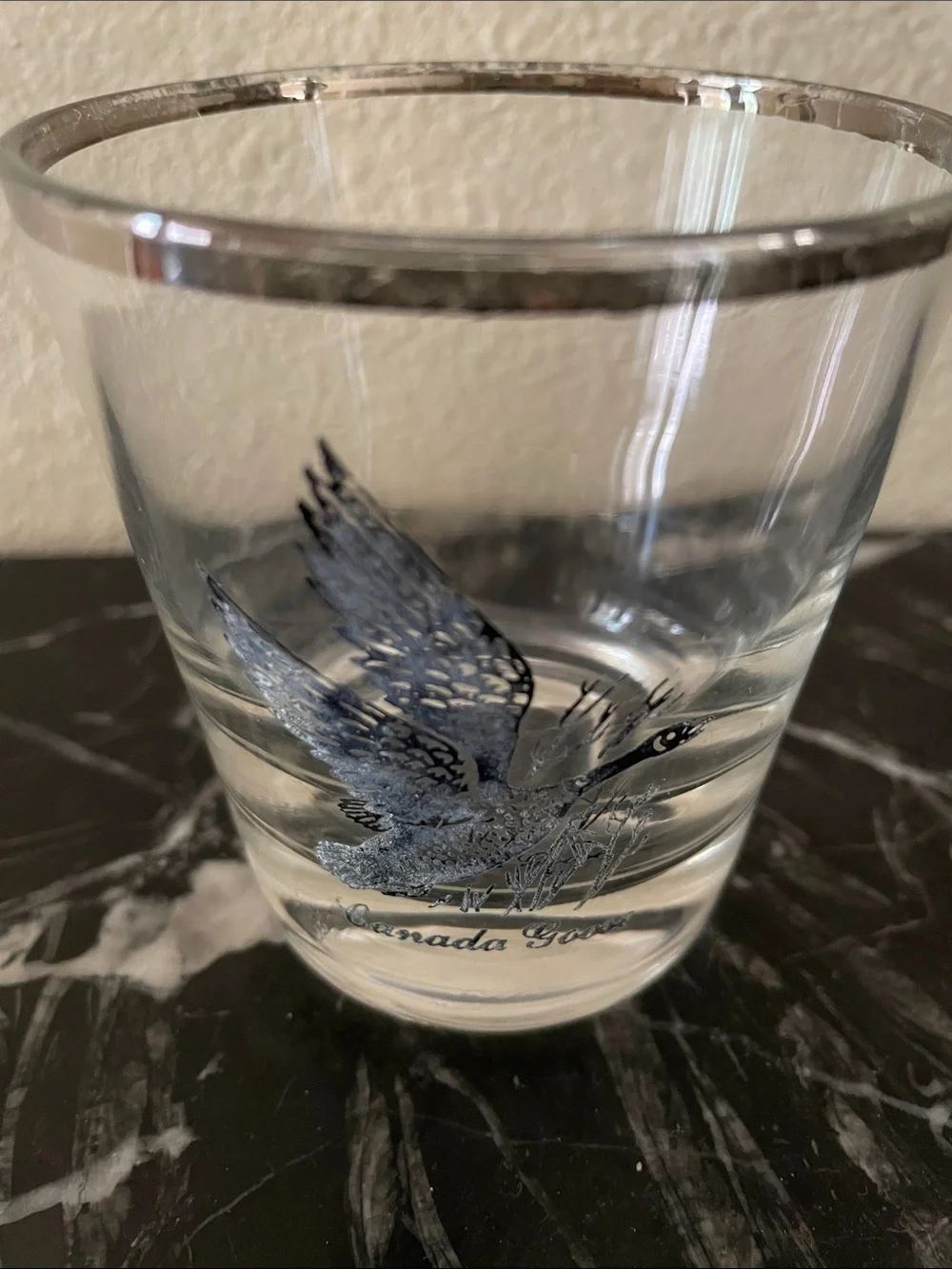 Silver-Rimmed Clear Glass Tumbler with Bird Motif - Set of 4